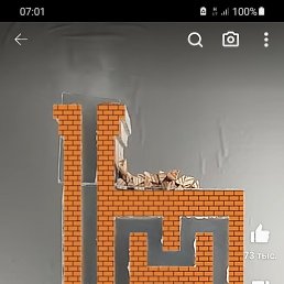 ���� ����, ������, 51 ��� - ��������� 21 �������� 2023