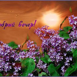 ���, ������, 52 ����