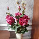 ���� �����, ������� - ��������� 8 ��� 2023