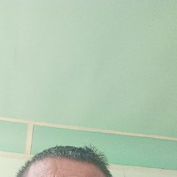 ������, �����, 51 ���