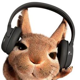 ���� �����, �����-���������, 35 ��� - ��������� 11 ���� 2023