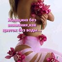 ���� �������, ������, 51 ��� - ��������� 8 ���� 2023 � ������ ������ ��������