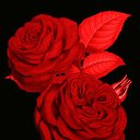 ���� ���, ������������, 49 ��� - ��������� 2 ������� 2023