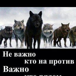 ��������, �������, 46 ���