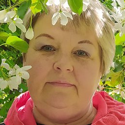 �����, ������, 49 ���