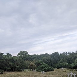 �����, ������������, 53 ����