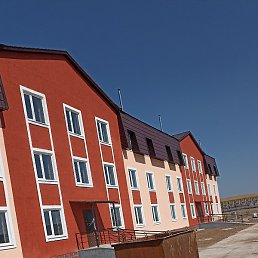 ������, �������, 41 ���