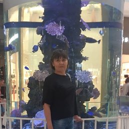 ���� ������, ��������, 53 ���� - ��������� 29 ��� 2023