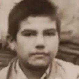 ��������, �����, 44 ����