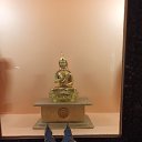 ���� ����, ���������, 41 ��� - ��������� 29 ������� 2023 � ������ ���� ����������