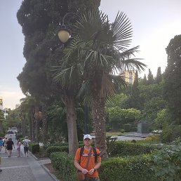 �����, �����������, 51 ���