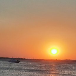 ��������, ���������, 58 ���