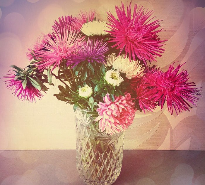 Астры... И скоро закончится Август... И Осень уже подступает ...