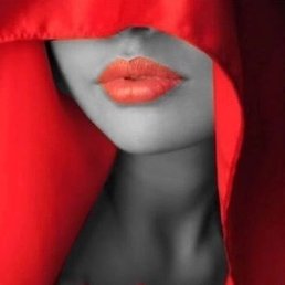 ��������, ������, 40 ���