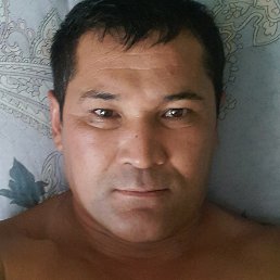 ������, �������, 41 ���