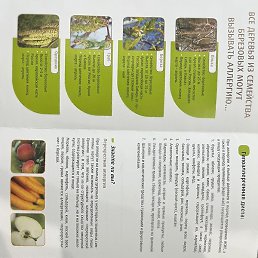 Vladimir, �����������, 70 ���