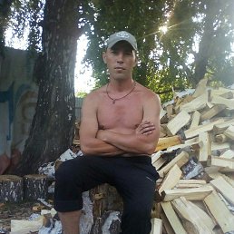 ���� �����, ������, 34 ���� - ��������� 1 �������� 2023