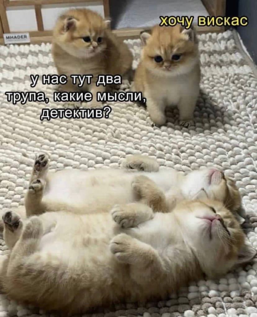    - 3  2023  13:43