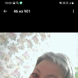 ���� ����, �����-���������, 53 ���� - ��������� 18 ������� 2023