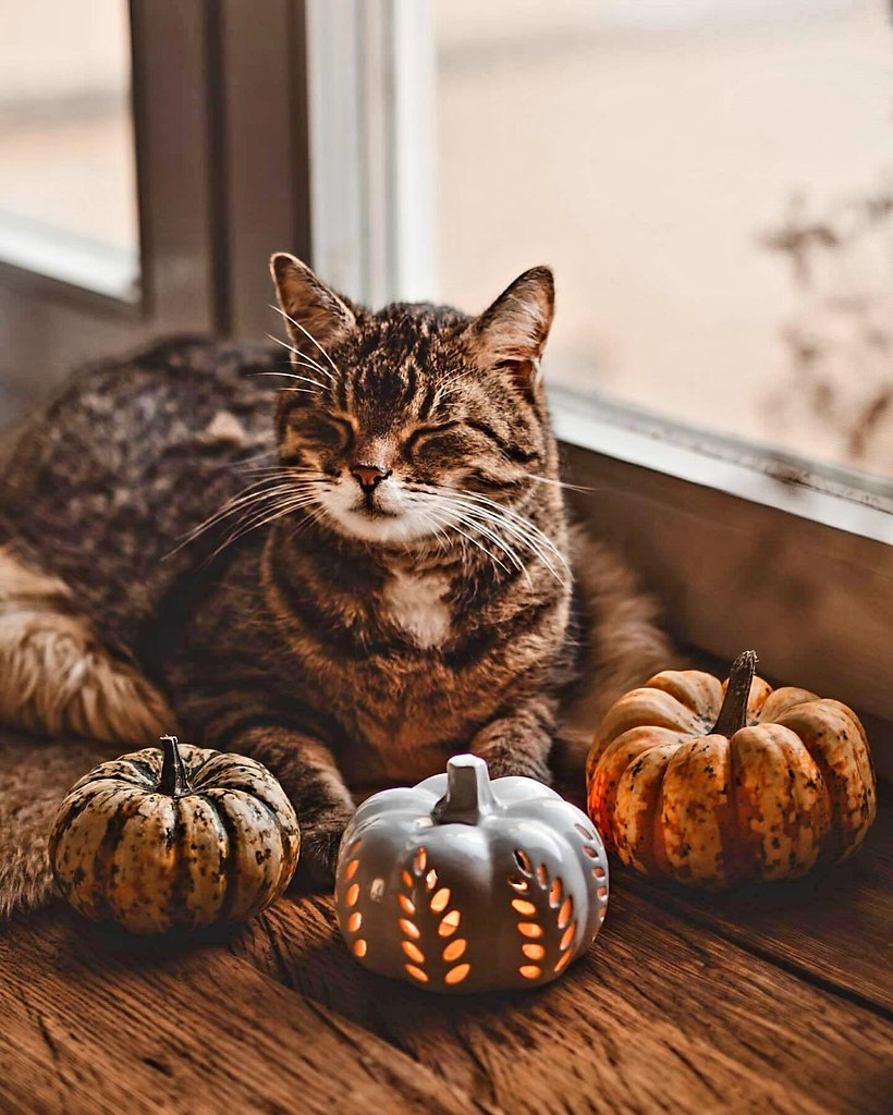 3   .  https://fotostrana.ru/away?to=/sl/RZE2  ...