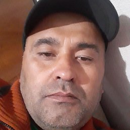 ����, �����-���������, 44 ����