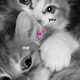 Isomiddin, �����, 21 ���