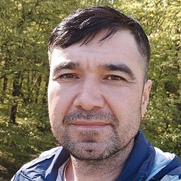 Ali, �������, 43 ����