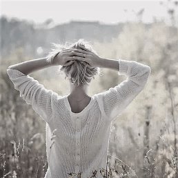 ��� �, ������, 64 ����