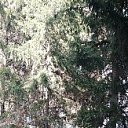 ���� ������, ���, 51 ��� - ��������� 12 ���� 2023