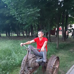 ���� �����, �����, 54 ���� - ��������� 8 ���� 2023