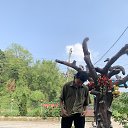 ���� Bardan, ��������, 26 ��� - ��������� 27 ������� 2023 � ������ ���� ����������