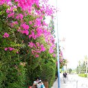 ���� ����, ����-����, 45 ��� - ��������� 6 ������� 2023 � ������ ���� ����������
