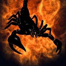 Nord, ������, 41 ���