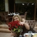 ���� ����, �����, 49 ��� - ��������� 2 ���� 2023 � ������ ���� ����������