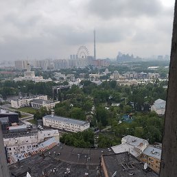 ���� ������, ������, 44 ���� - ��������� 21 ���� 2023