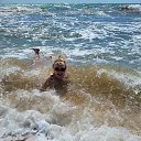 ���� �����, ��������, 55 ��� - ��������� 10 ���� 2023