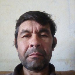 , 52, 