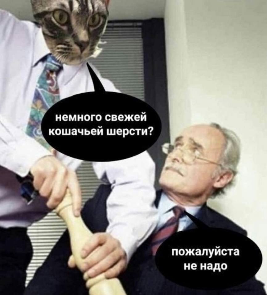    - 23  2023  12:29