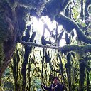 ���� ��������, �������, 54 ���� - ��������� 25 �������� 2023 � ������ ���� ����������