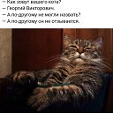 ���� ����������, ������������ - ��������� 13 ������ 2023 � ������ ���� ����������