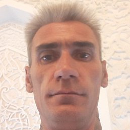 �������, �������, 41 ���