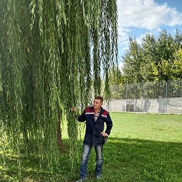 ���������, �����, 54 ����