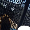 ���� ��������, ������, 43 ���� - ��������� 10 ���� 2023 � ������ ���� ����������