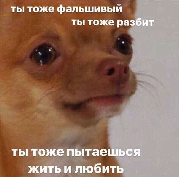    - 23  2023  06:26