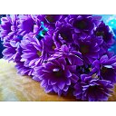 ���� Lada, ������ - ��������� 24 ����� 2023 � ������ ������ ��������