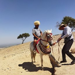 Bek, �����, 41 ���