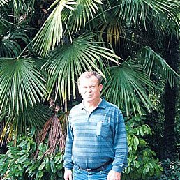 ����, ������������, 71 ���