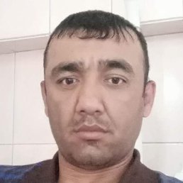 ������, ������, 41 ���