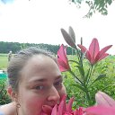 ���� �������, �����-���������, 33 ���� - ��������� 26 ������� 2023