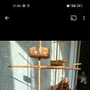 ���� �����, ������-��-����, 45 ��� - ��������� 26 �������� 2023 � ������ ���� ����������
